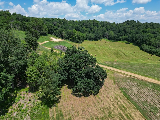 E2519 State Rd 29, Lucas Twp, WI 54751 - photo 33