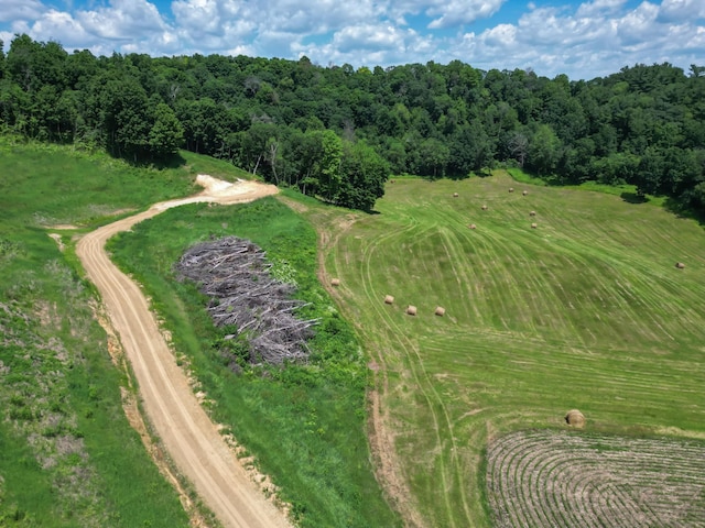 E2519 State Rd 29, Lucas Twp, WI 54751 - photo 34