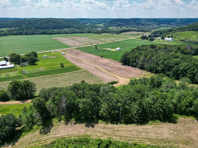 E2519 State Rd 29, Lucas Twp, WI 54751 - photo 36