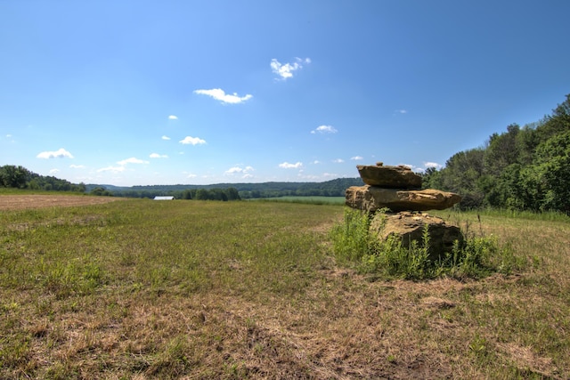 E2519 State Rd 29, Lucas Twp, WI 54751 - photo 41