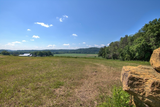 E2519 State Rd 29, Lucas Twp, WI 54751 - photo 42
