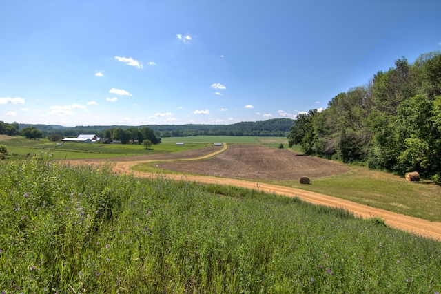 E2519 State Rd 29, Lucas Twp, WI 54751 - photo 43