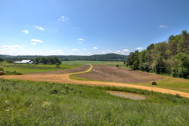 E2519 State Rd 29, Lucas Twp, WI 54751 - photo 44