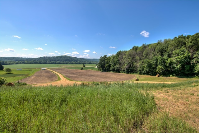 E2519 State Rd 29, Lucas Twp, WI 54751 - photo 45