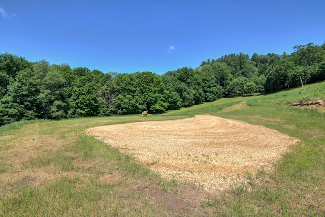 E2519 State Rd 29, Lucas Twp, WI 54751 - photo 46