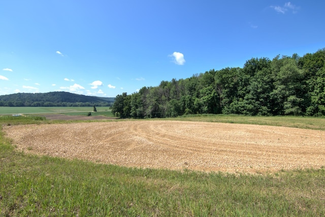 E2519 State Rd 29, Lucas Twp, WI 54751 - photo 47