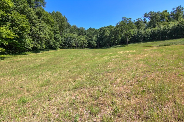 E2519 State Rd 29, Lucas Twp, WI 54751 - photo 51