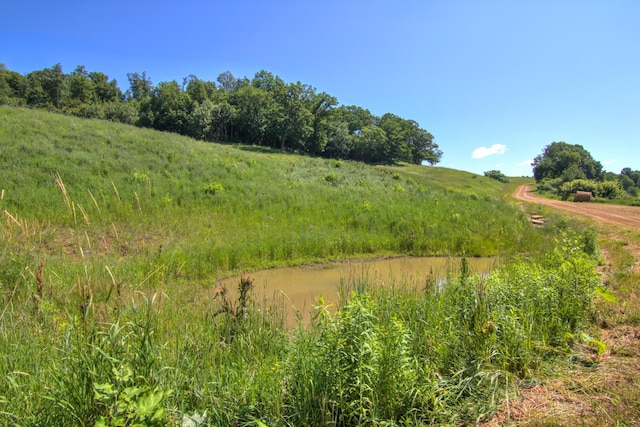 E2519 State Rd 29, Lucas Twp, WI 54751 - photo 53