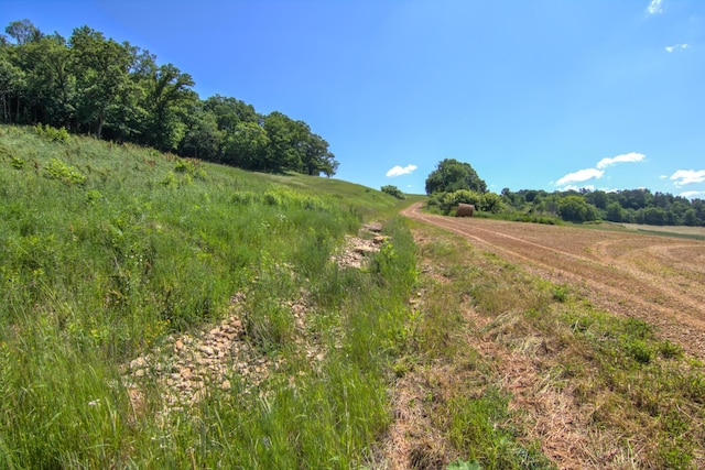 E2519 State Rd 29, Lucas Twp, WI 54751 - photo 54