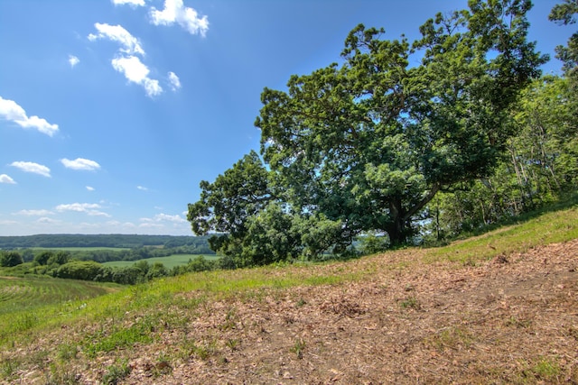 E2519 State Rd 29, Lucas Twp, WI 54751 - photo 57