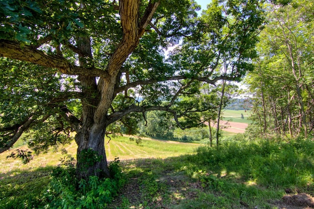 E2519 State Rd 29, Lucas Twp, WI 54751 - photo 60