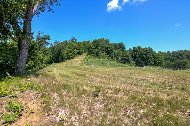 E2519 State Rd 29, Lucas Twp, WI 54751 - photo 62