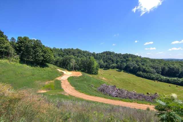 E2519 State Rd 29, Lucas Twp, WI 54751 - photo 63
