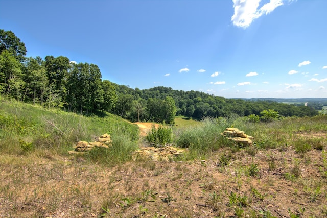 E2519 State Rd 29, Lucas Twp, WI 54751 - photo 64