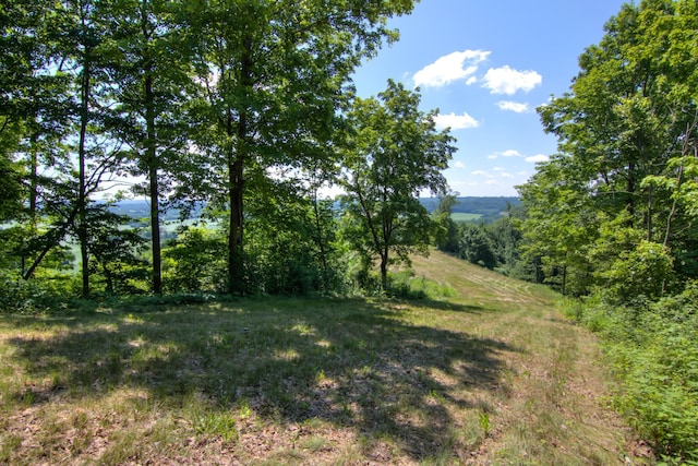 E2519 State Rd 29, Lucas Twp, WI 54751 - photo 67