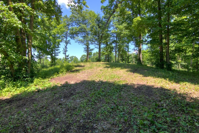 E2519 State Rd 29, Lucas Twp, WI 54751 - photo 68