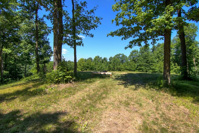 E2519 State Rd 29, Lucas Twp, WI 54751 - photo 69
