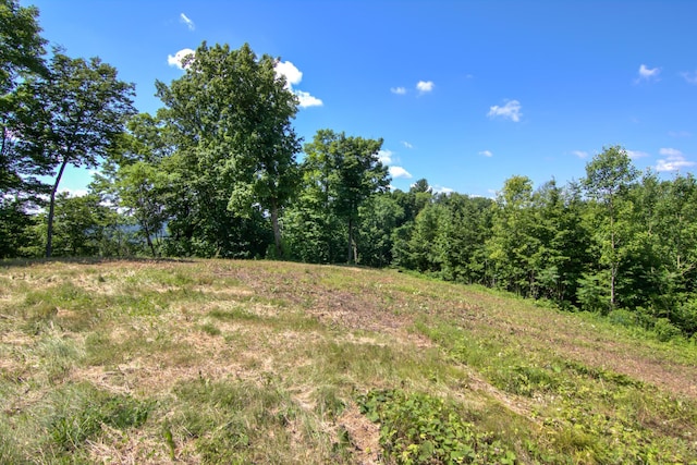 E2519 State Rd 29, Lucas Twp, WI 54751 - photo 71