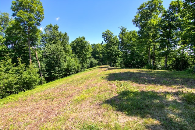 E2519 State Rd 29, Lucas Twp, WI 54751 - photo 72