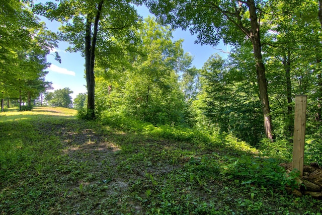E2519 State Rd 29, Lucas Twp, WI 54751 - photo 74