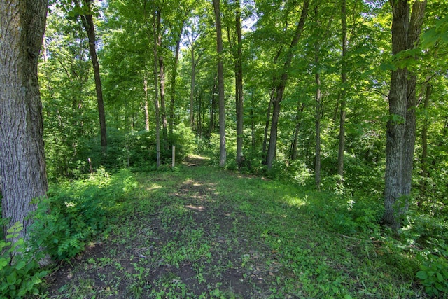 E2519 State Rd 29, Lucas Twp, WI 54751 - photo 75