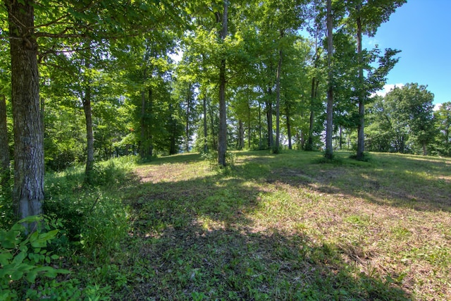 E2519 State Rd 29, Lucas Twp, WI 54751 - photo 76
