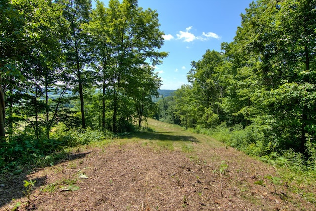 E2519 State Rd 29, Lucas Twp, WI 54751 - photo 77