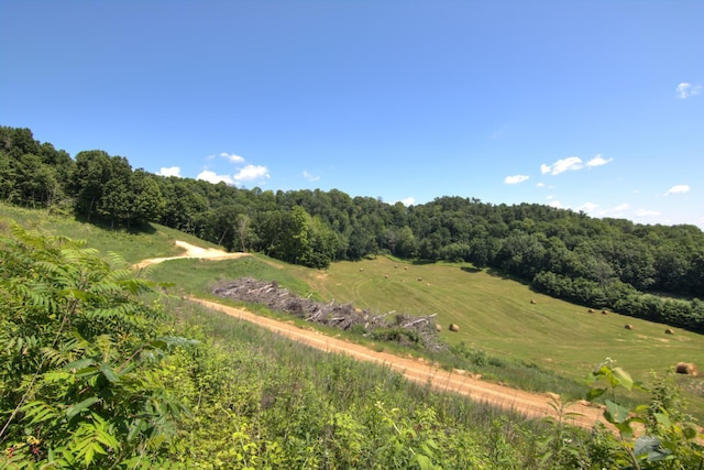 E2519 State Rd 29, Lucas Twp, WI 54751 - photo 79