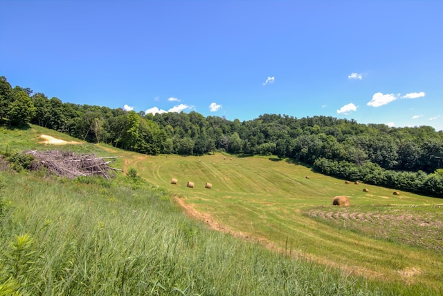 E2519 State Rd 29, Lucas Twp, WI 54751 - photo 80