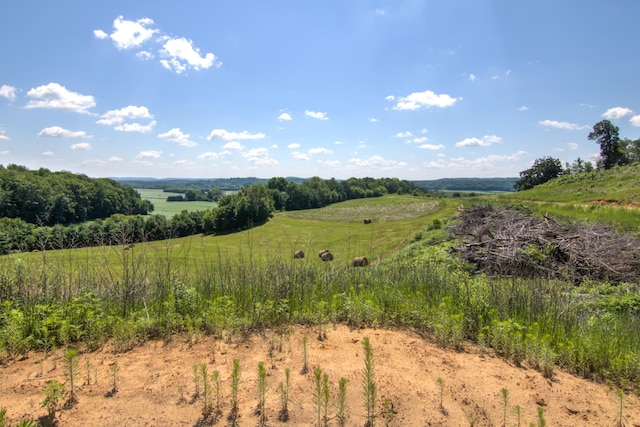 E2519 State Rd 29, Lucas Twp, WI 54751 - photo 84