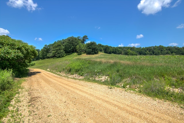 E2519 State Rd 29, Lucas Twp, WI 54751 - photo 87