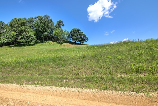 E2519 State Rd 29, Lucas Twp, WI 54751 - photo 88