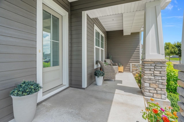9096 Jade Cir N, Lake Elmo, MN 55042 - photo 5