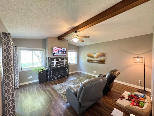402 Range Rd, Springfield, MN 56087 - living area with dark wood finished floors, a textured ceiling, and a ceiling fan