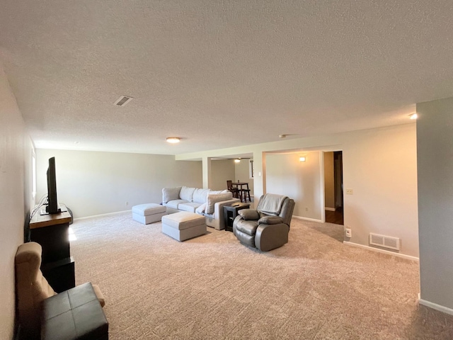 402 Range Rd, Springfield, MN 56087 - living area featuring carpet flooring and a textured ceiling