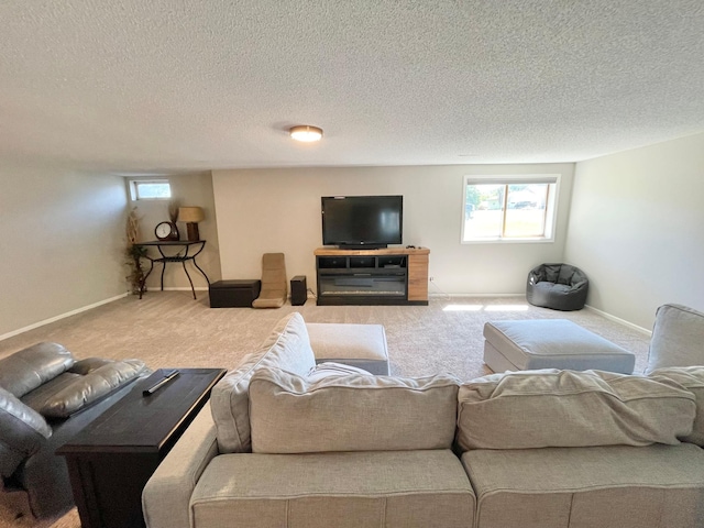 402 Range Rd, Springfield, MN 56087 - carpeted living room featuring a textured ceiling and baseboards