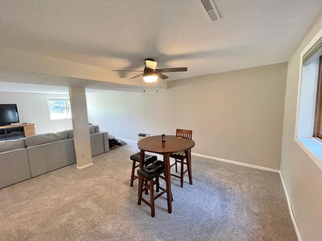 402 Range Rd, Springfield, MN 56087 - dining area featuring carpet flooring, a ceiling fan, and a textured ceiling