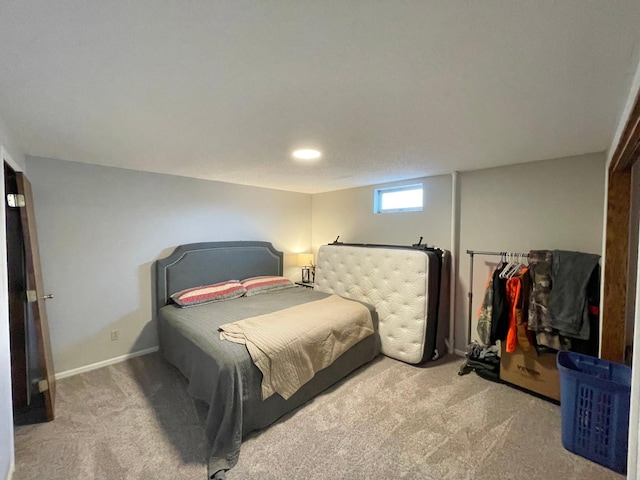 402 Range Rd, Springfield, MN 56087 - bedroom with carpet flooring