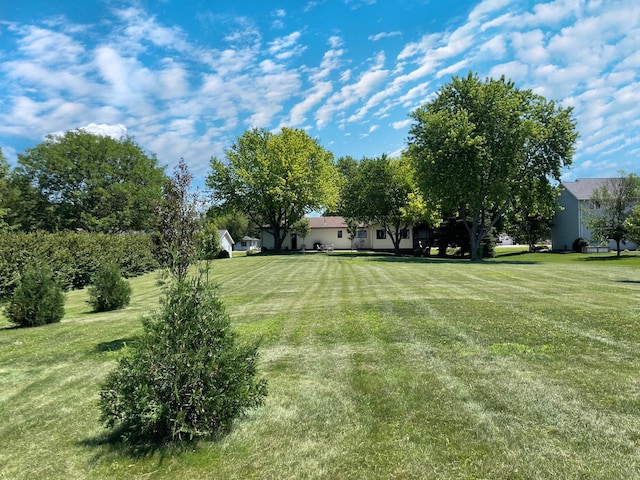 402 Range Rd, Springfield, MN 56087 - view of green lawn