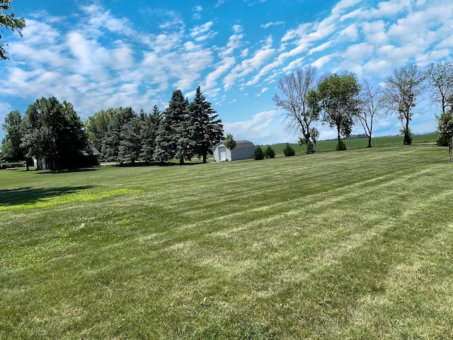 402 Range Rd, Springfield, MN 56087 - view of green lawn with a storage unit
