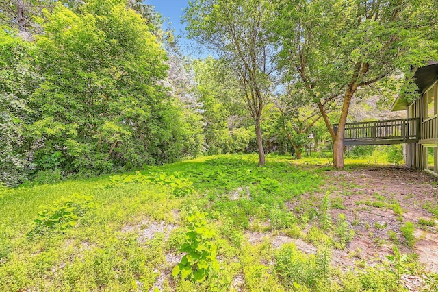 8222 Brandywine Pkwy, Brooklyn Park, MN 55444 - view of yard featuring a deck