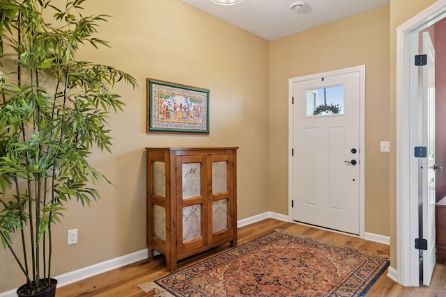 1101 Fabel Ln, Waconia, MN 55387 - entrance foyer featuring wood finished floors and baseboards
