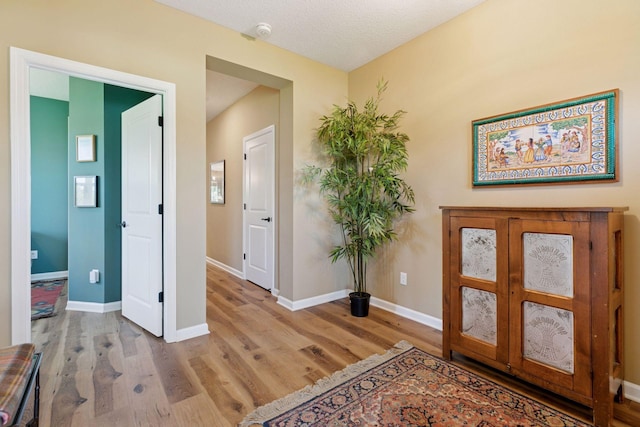 1101 Fabel Ln, Waconia, MN 55387 - foyer with light wood-style flooring and baseboards