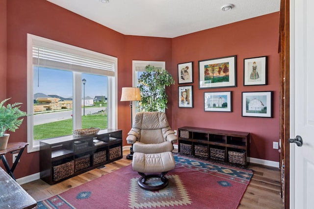1101 Fabel Ln, Waconia, MN 55387 - living area featuring healthy amount of natural light and wood finished floors