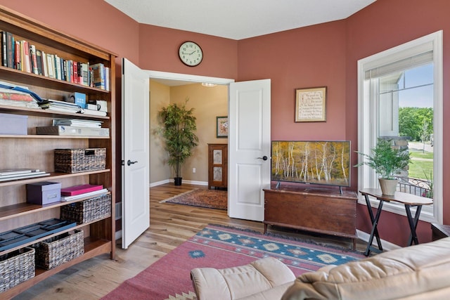 1101 Fabel Ln, Waconia, MN 55387 - living area featuring wood finished floors and baseboards