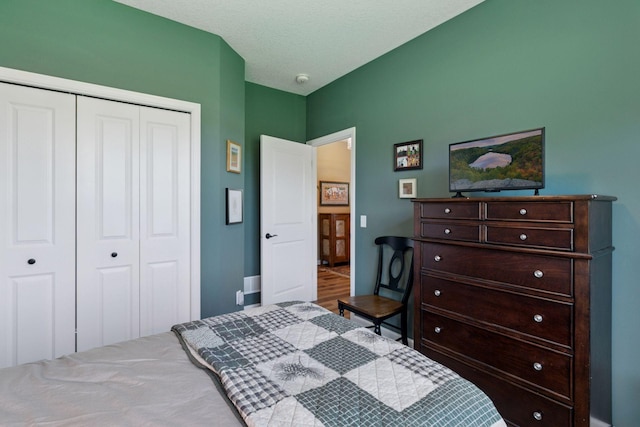 1101 Fabel Ln, Waconia, MN 55387 - bedroom with a closet and wood finished floors