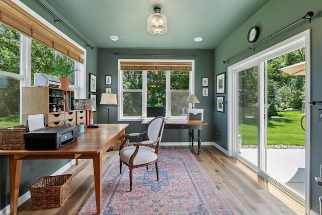 1101 Fabel Ln, Waconia, MN 55387 - home office with light wood-type flooring and a textured ceiling