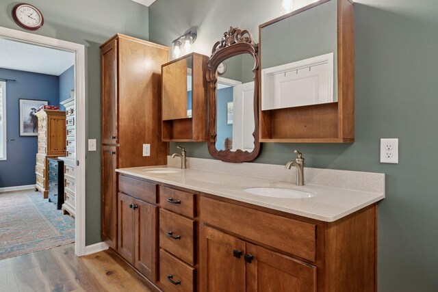1101 Fabel Ln, Waconia, MN 55387 - bathroom featuring double vanity and wood finished floors