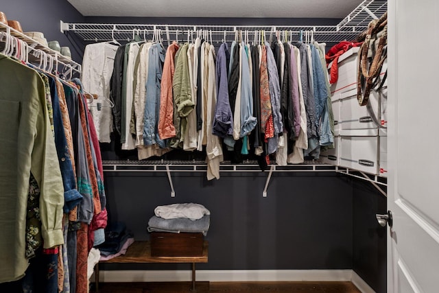 1101 Fabel Ln, Waconia, MN 55387 - view of spacious closet