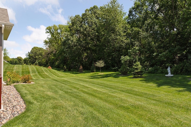 1101 Fabel Ln, Waconia, MN 55387 - view of green lawn
